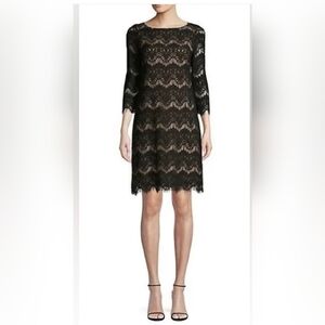 ELIZA J Lacy Bodycon Mini Shift Dress w Scoop Neck and 3/4 Sleeves Size 16